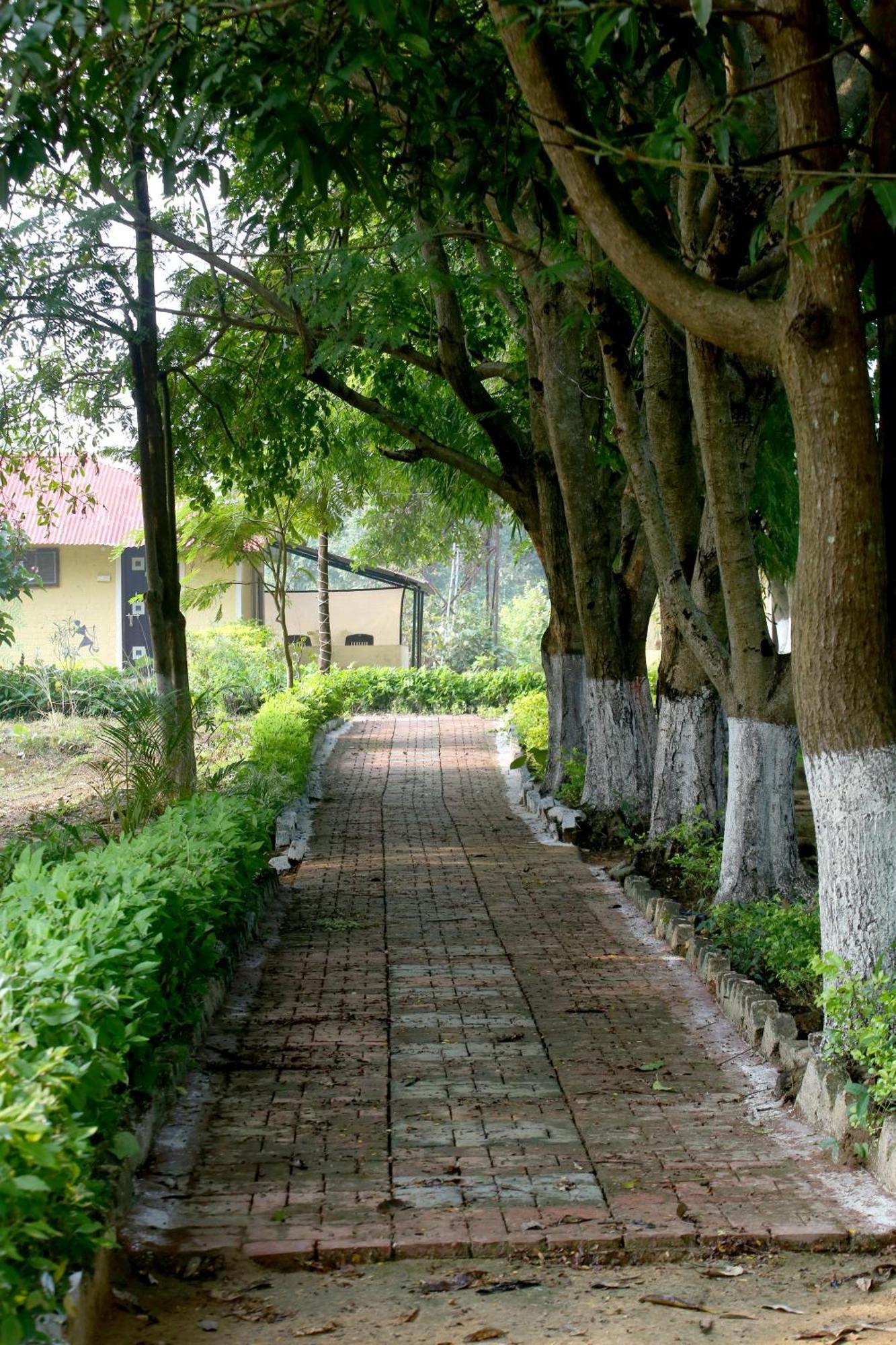 Tribal Wood Resort Dhanwār Dış mekan fotoğraf