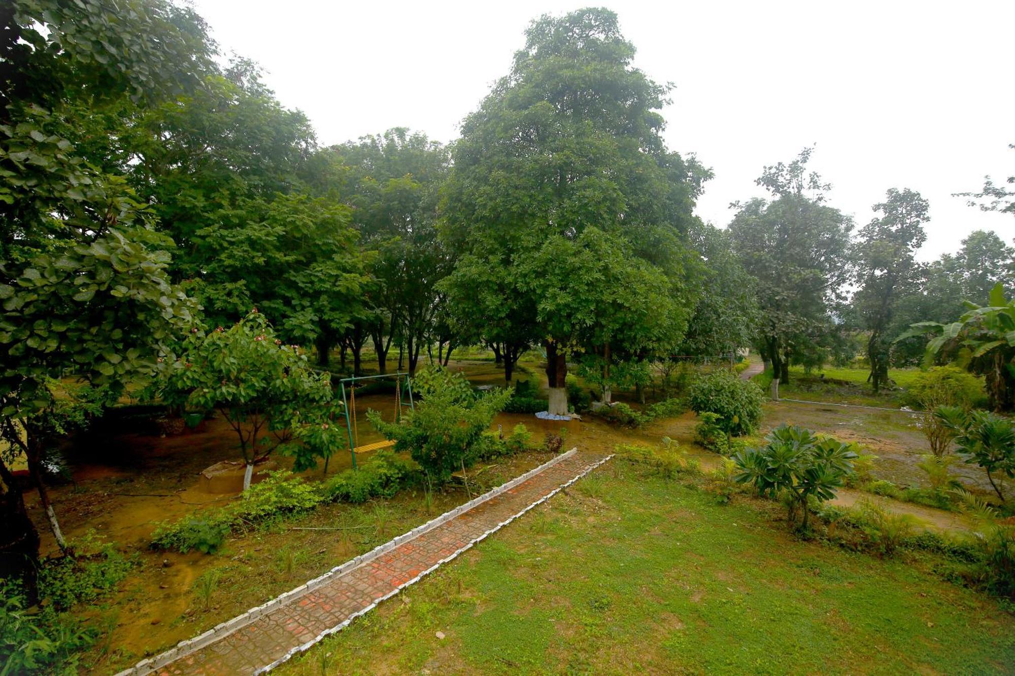 Tribal Wood Resort Dhanwār Dış mekan fotoğraf